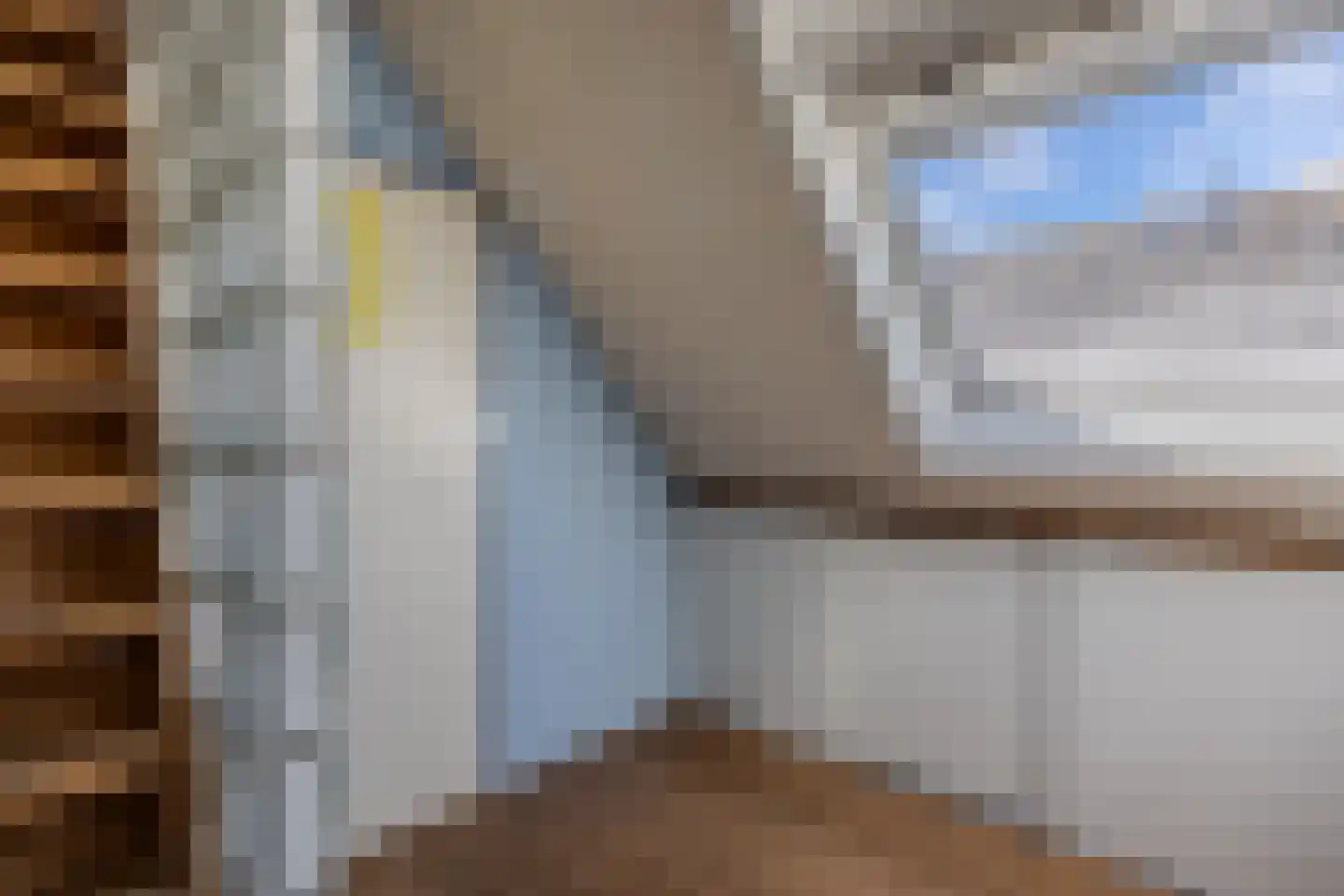 Ratelaar 71 Heemskerk thumbnail 21