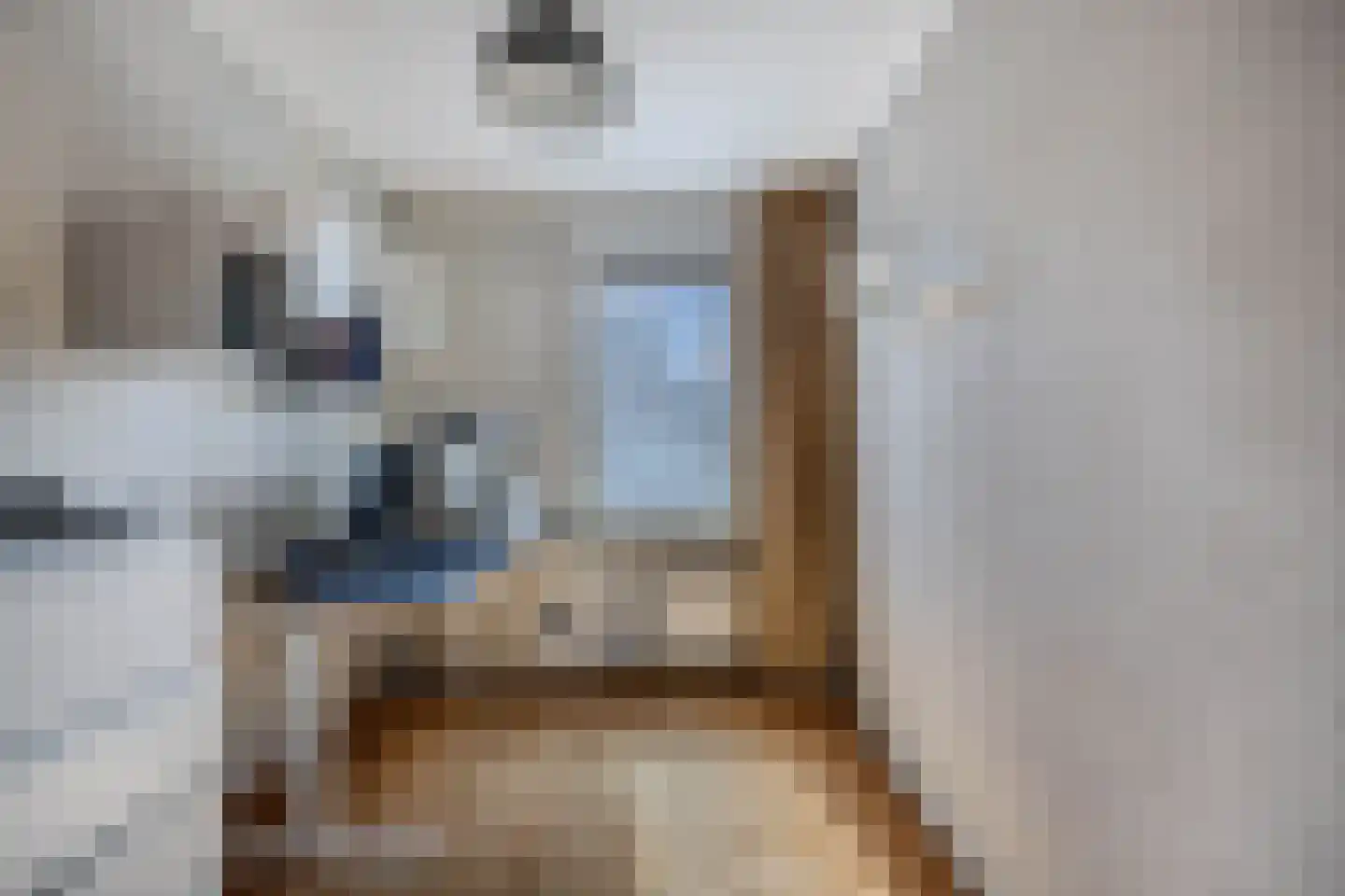 Ratelaar 71 Heemskerk thumbnail 22