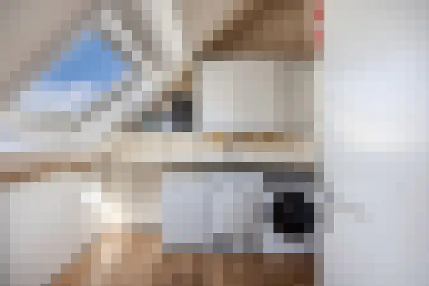 Ratelaar 71 Heemskerk thumbnail 23