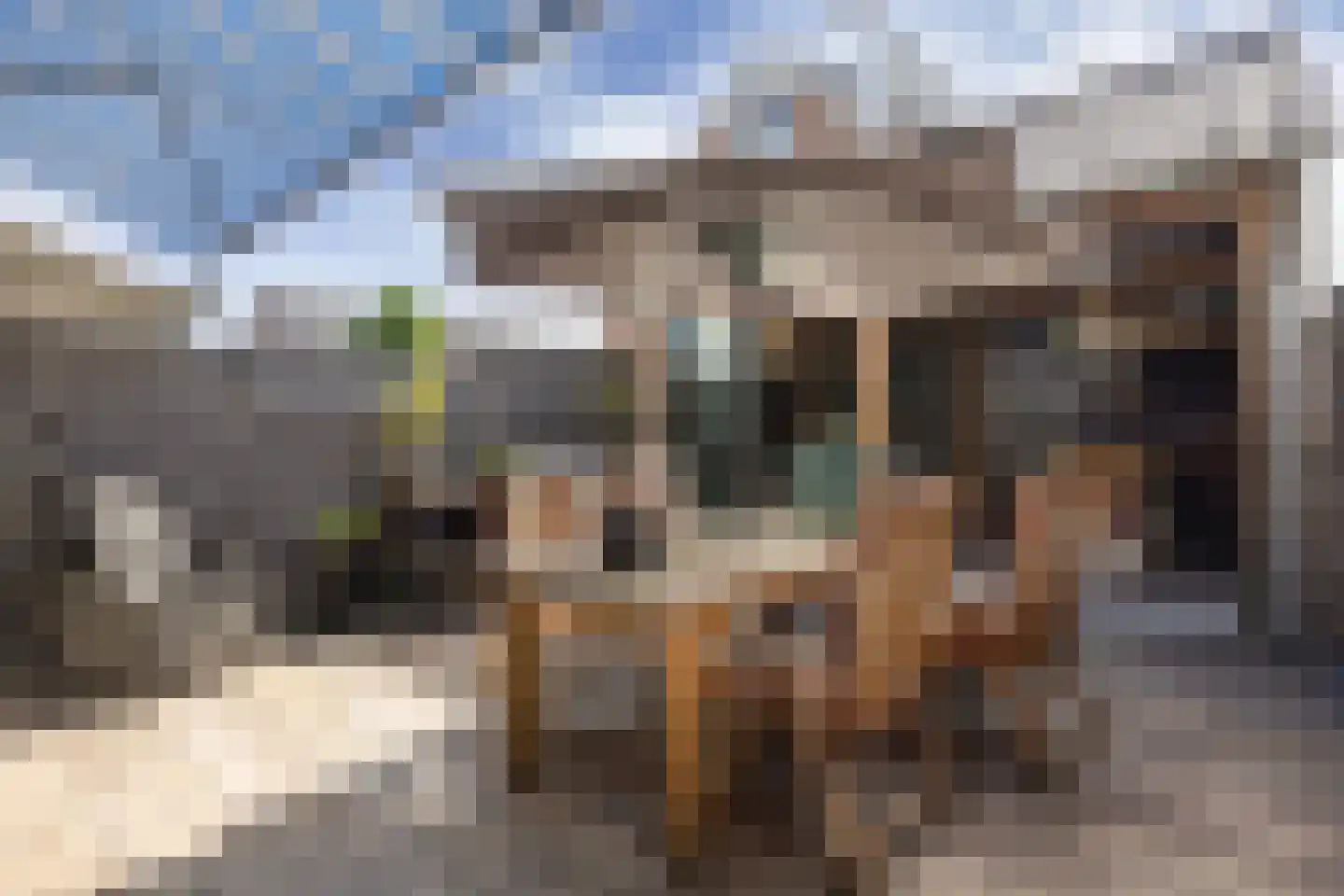 Ratelaar 71 Heemskerk thumbnail 24