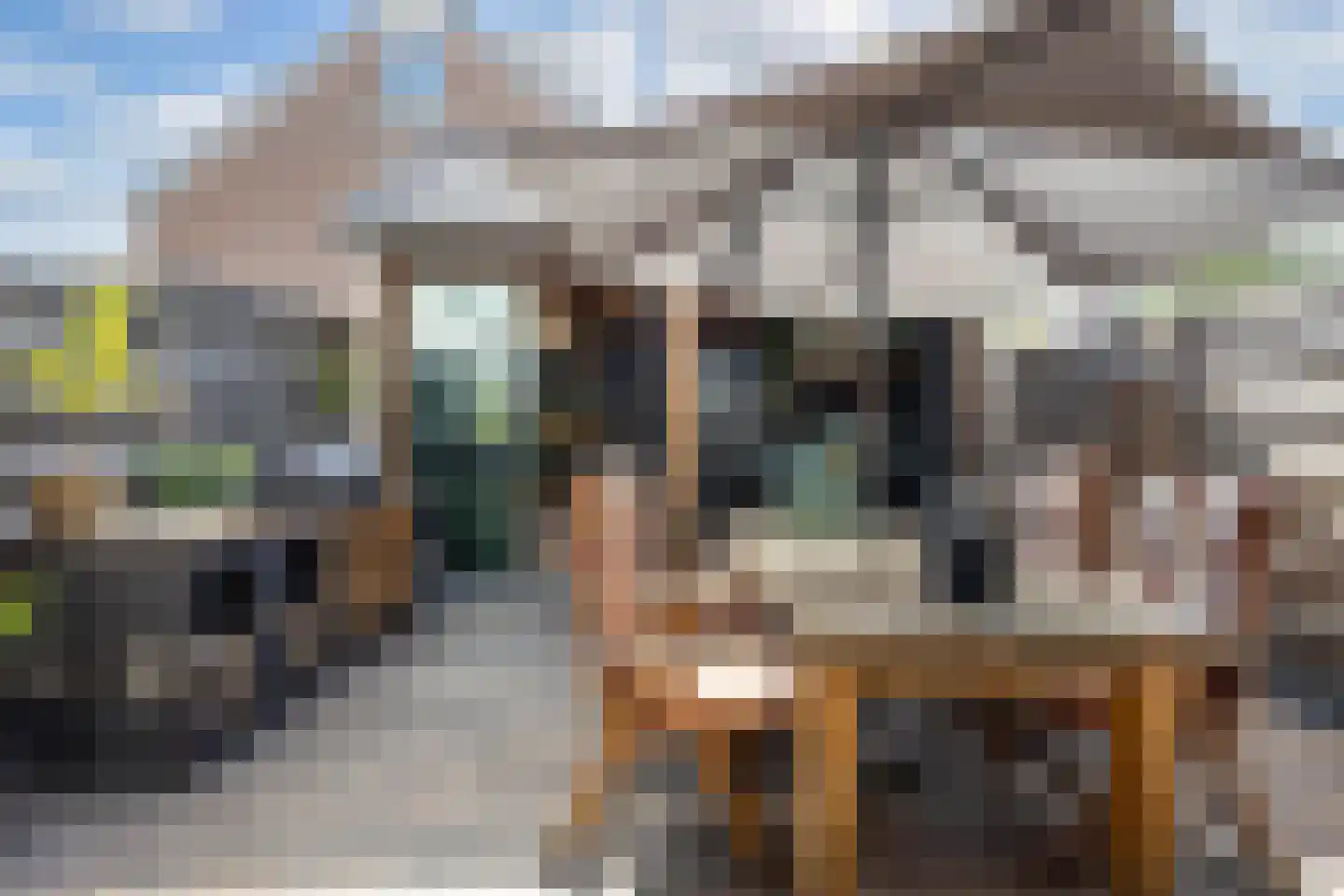 Ratelaar 71 Heemskerk thumbnail 25