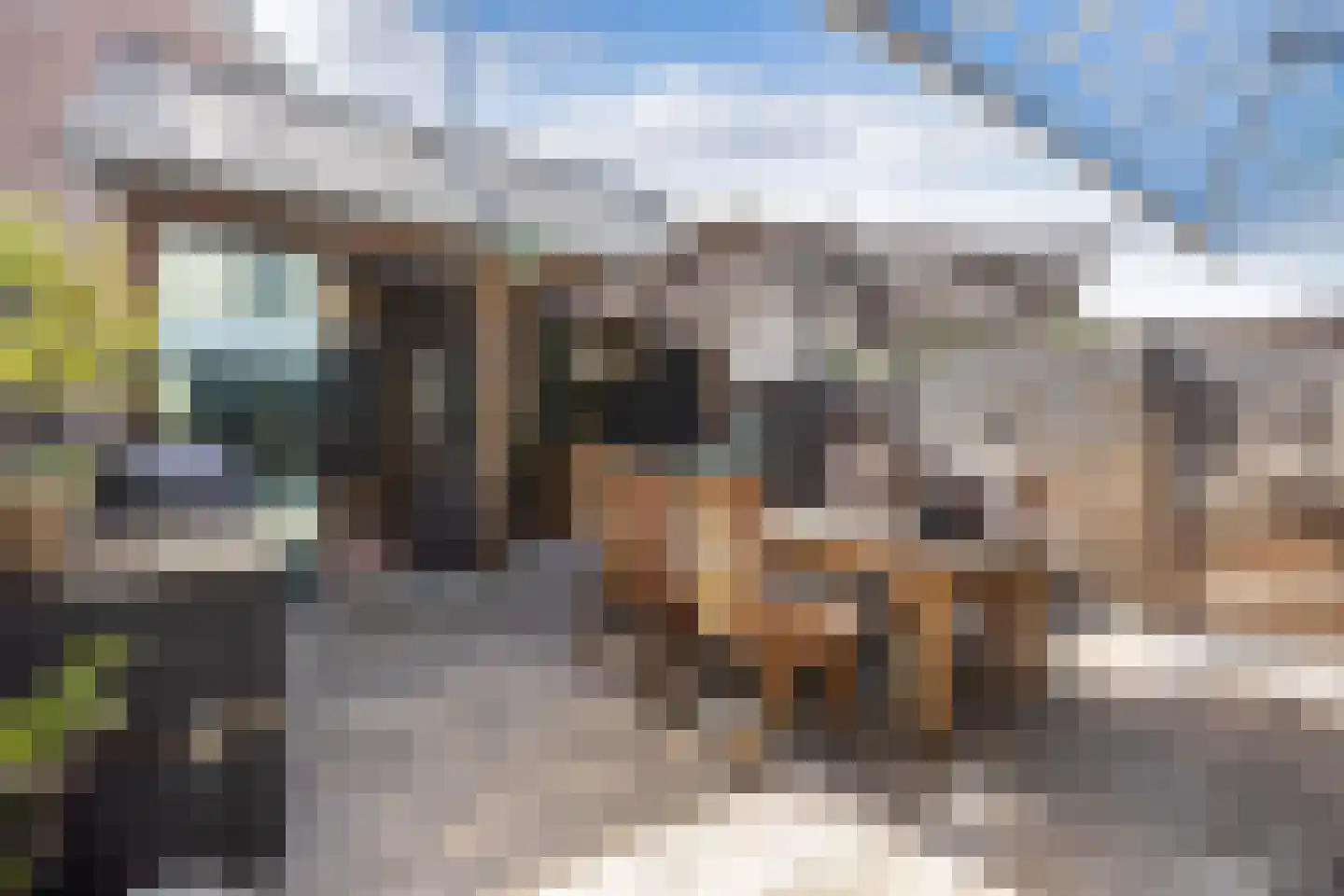 Ratelaar 71 Heemskerk thumbnail 26