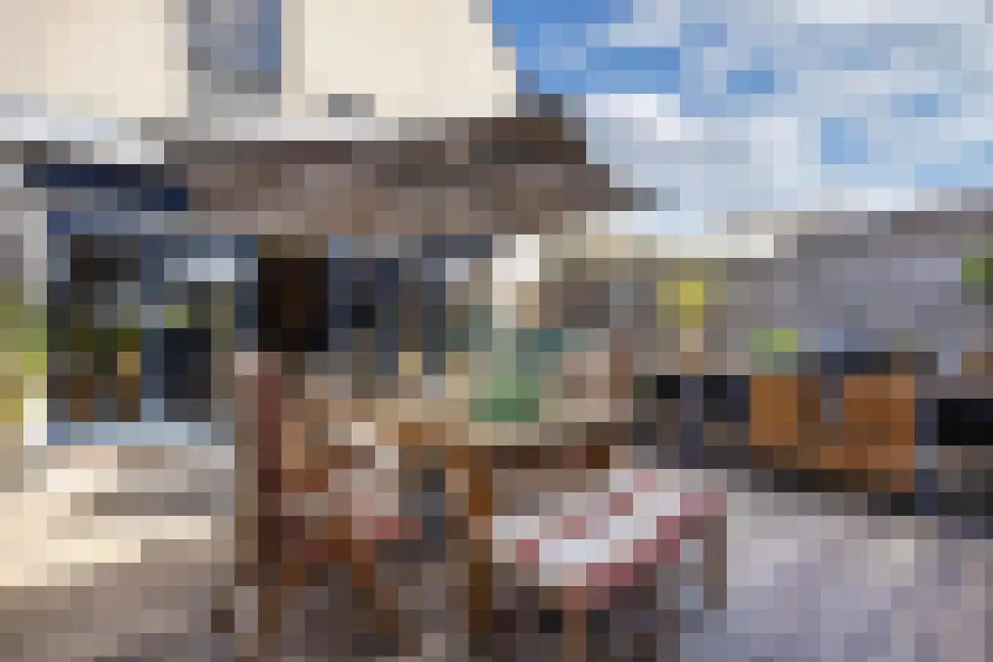 Ratelaar 71 Heemskerk thumbnail 27