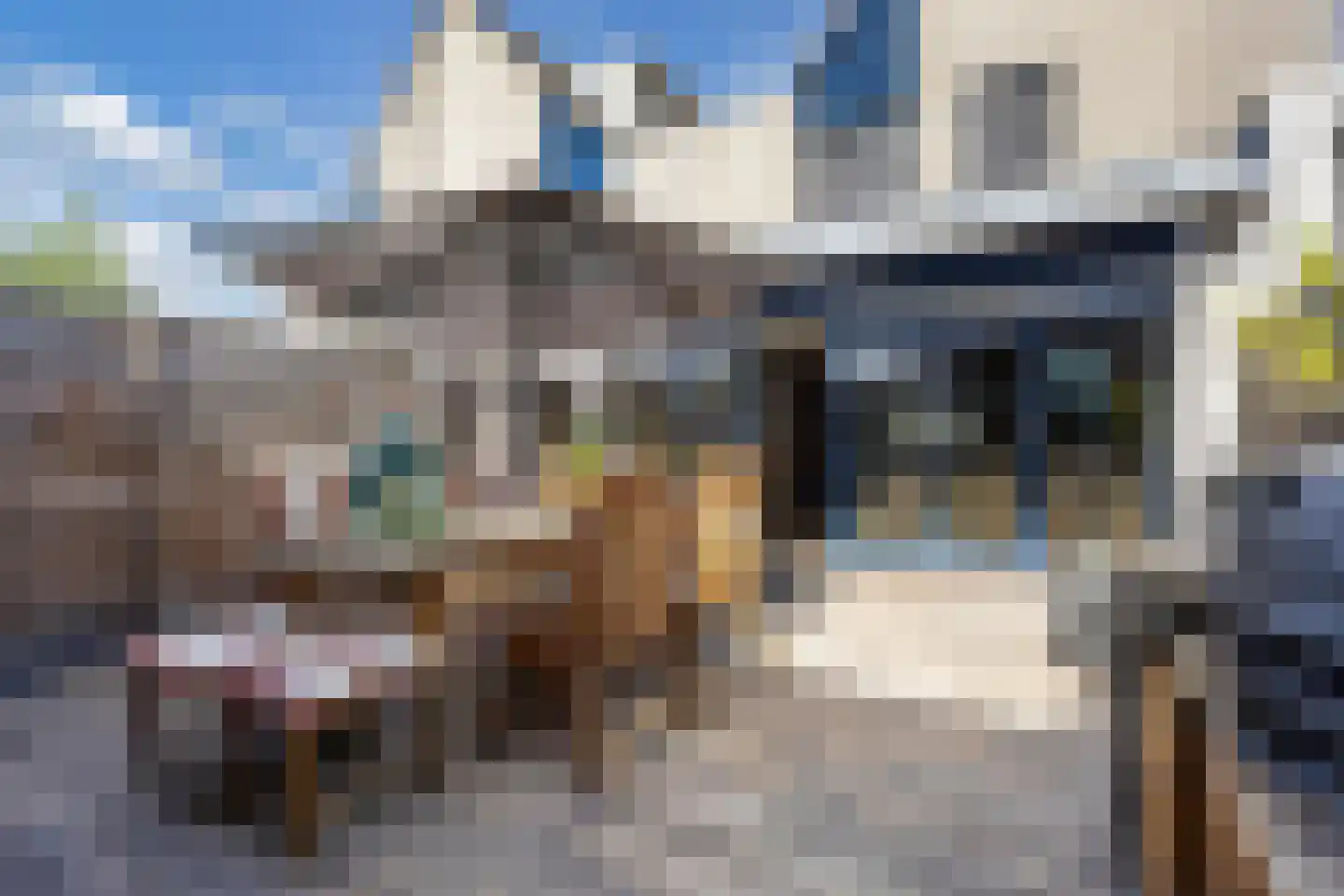 Ratelaar 71 Heemskerk thumbnail 28