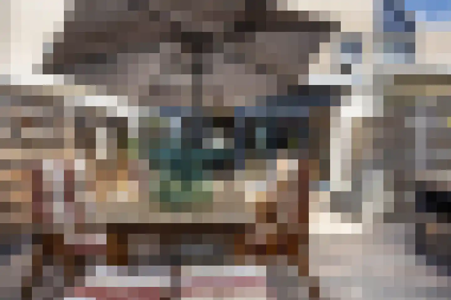 Ratelaar 71 Heemskerk thumbnail 32