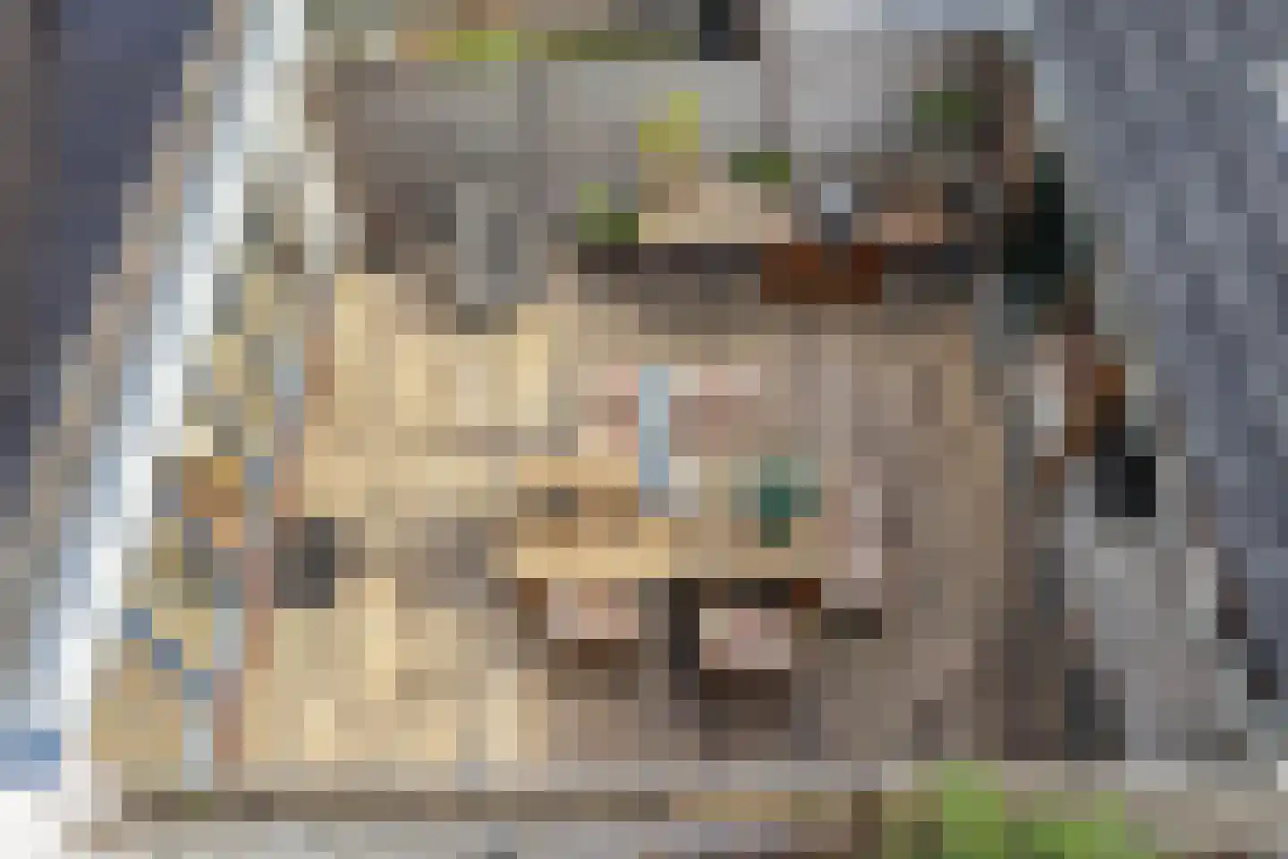 Ratelaar 71 Heemskerk thumbnail 33