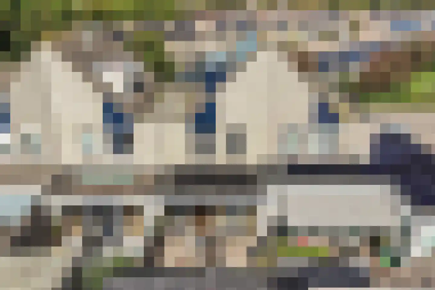 Ratelaar 71 Heemskerk thumbnail 34