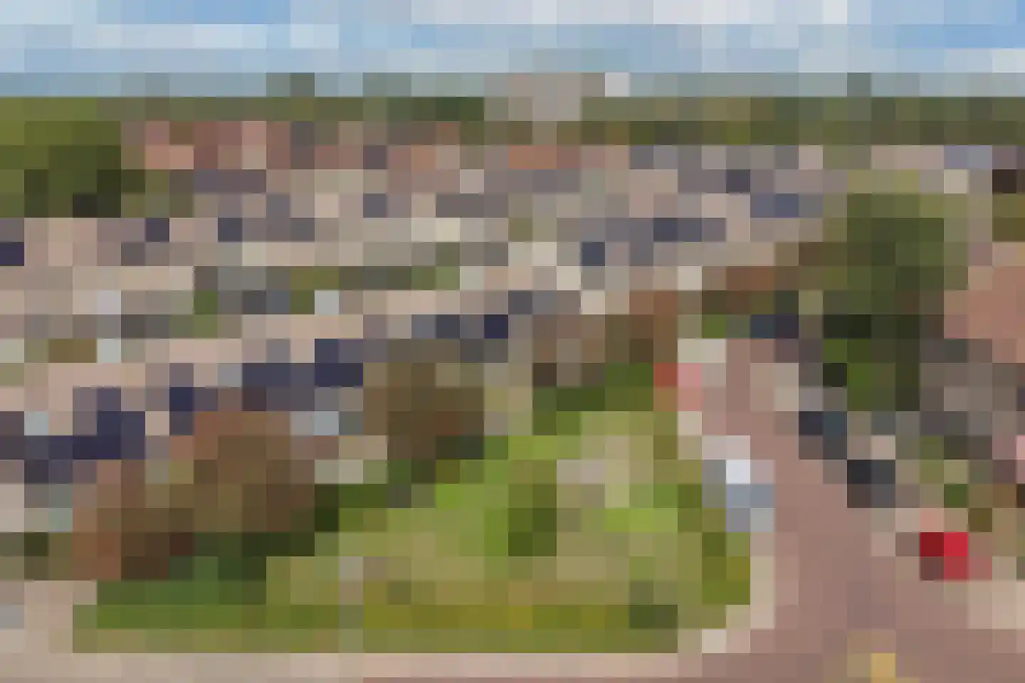 Ratelaar 71 Heemskerk thumbnail 35