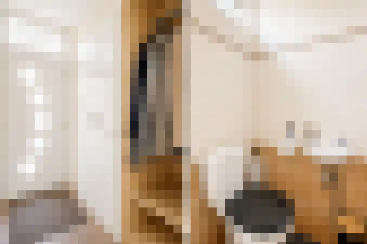 Ratelaar 71 Heemskerk thumbnail 5