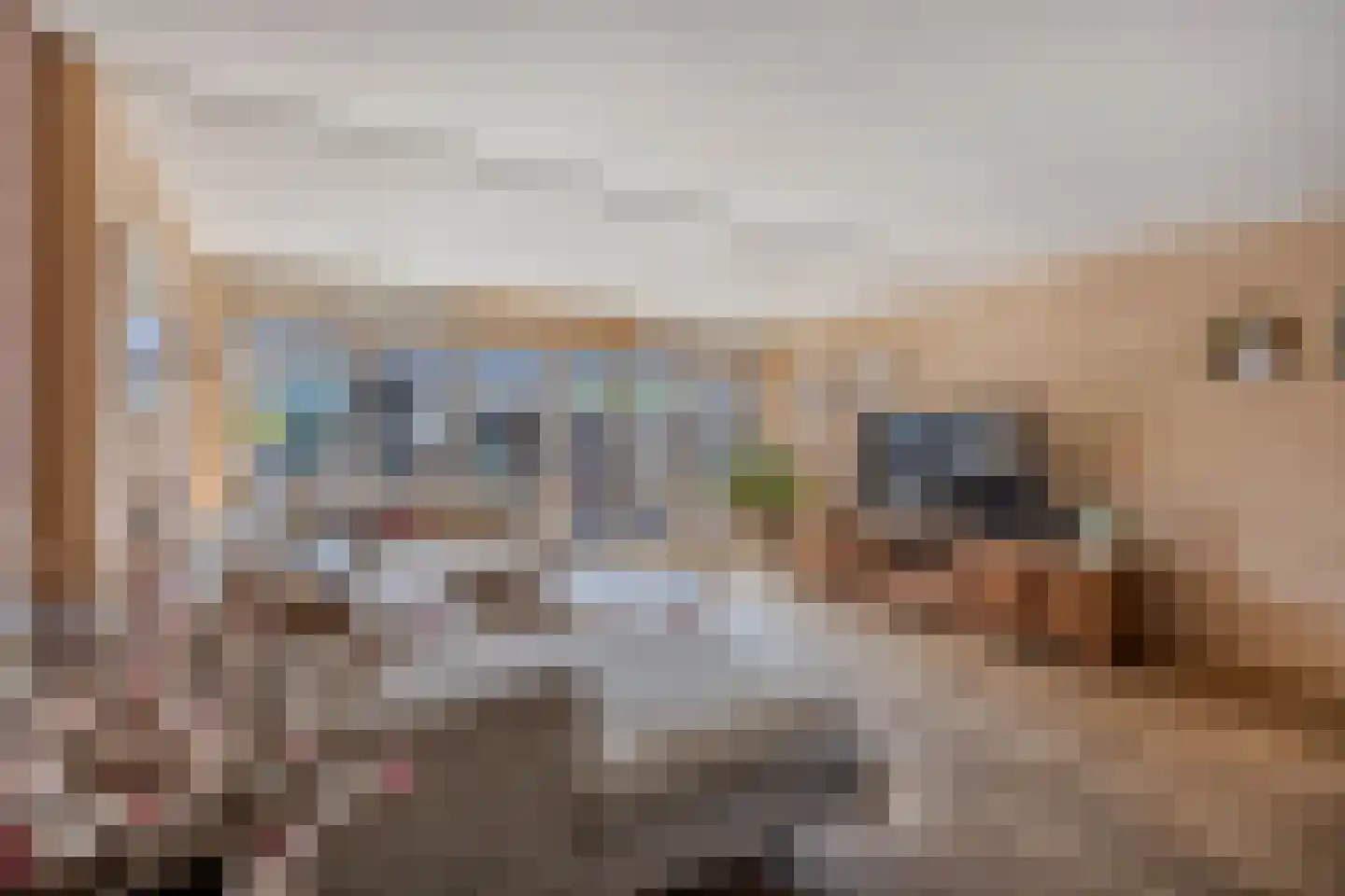 Ratelaar 71 Heemskerk thumbnail 6