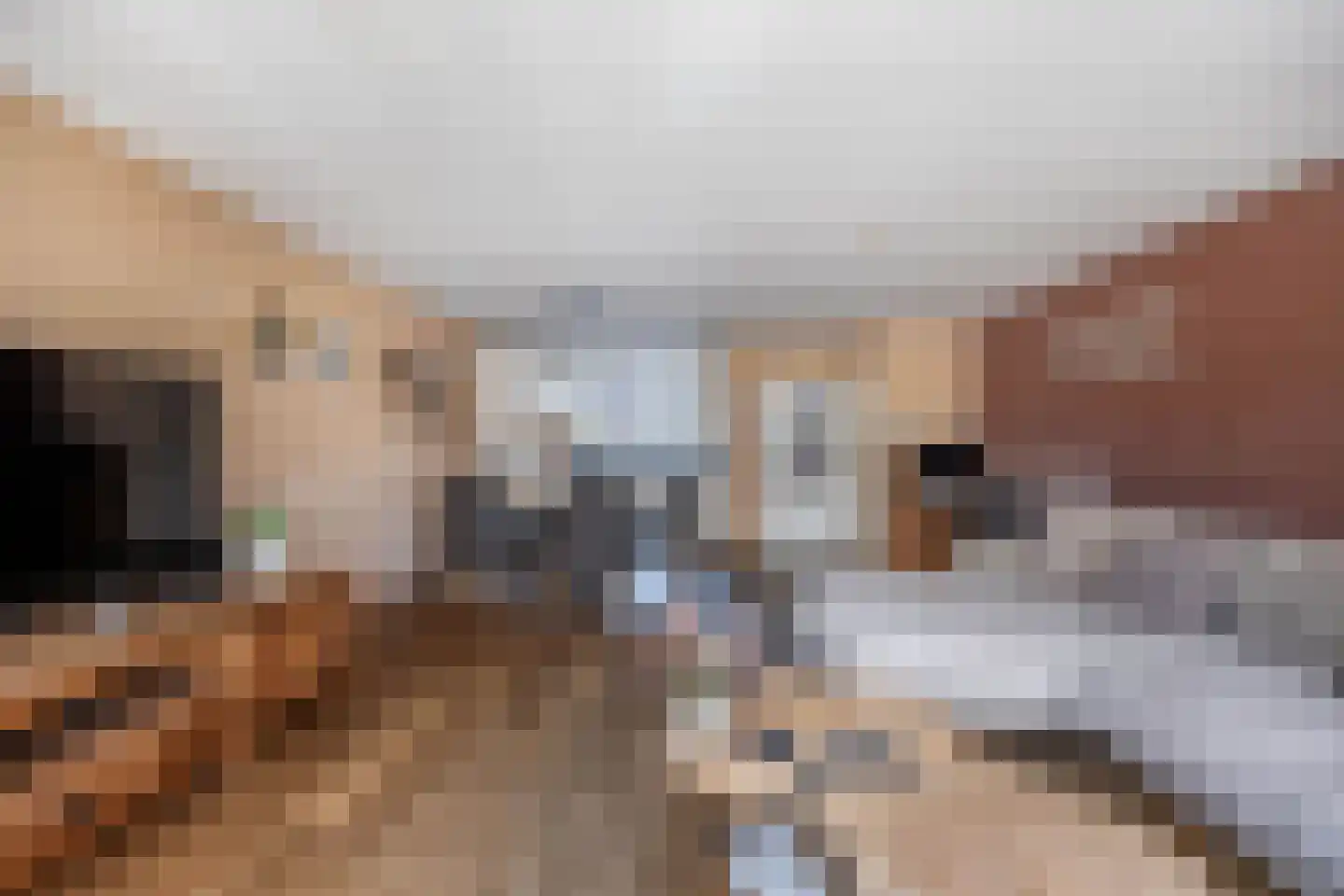 Ratelaar 71 Heemskerk thumbnail 7