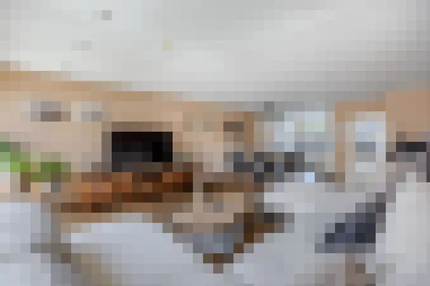 Ratelaar 71 Heemskerk thumbnail 8