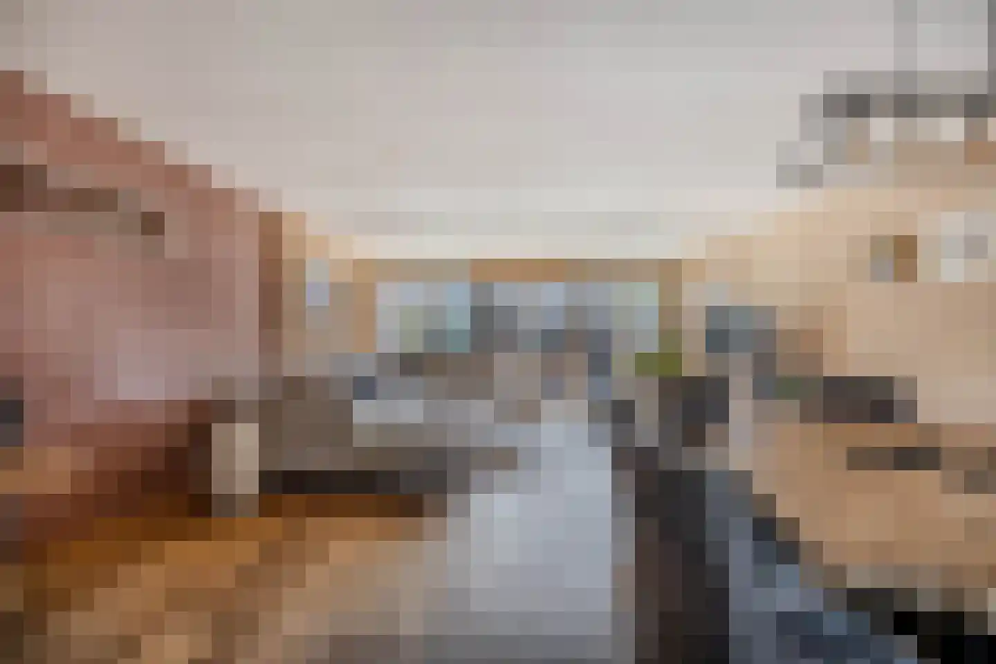 Ratelaar 71 Heemskerk thumbnail 9