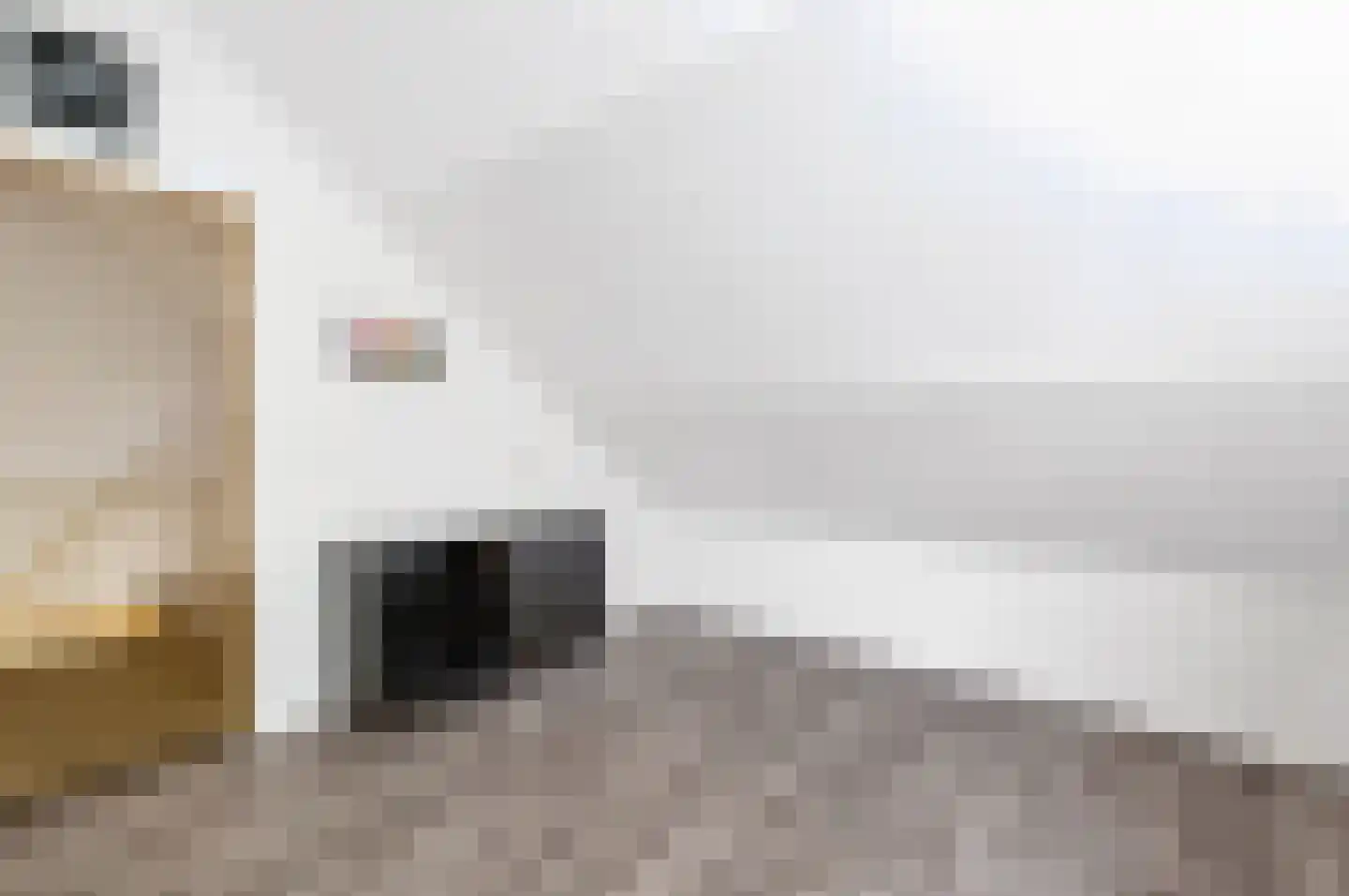 Ratelaar 85 Apeldoorn thumbnail 18