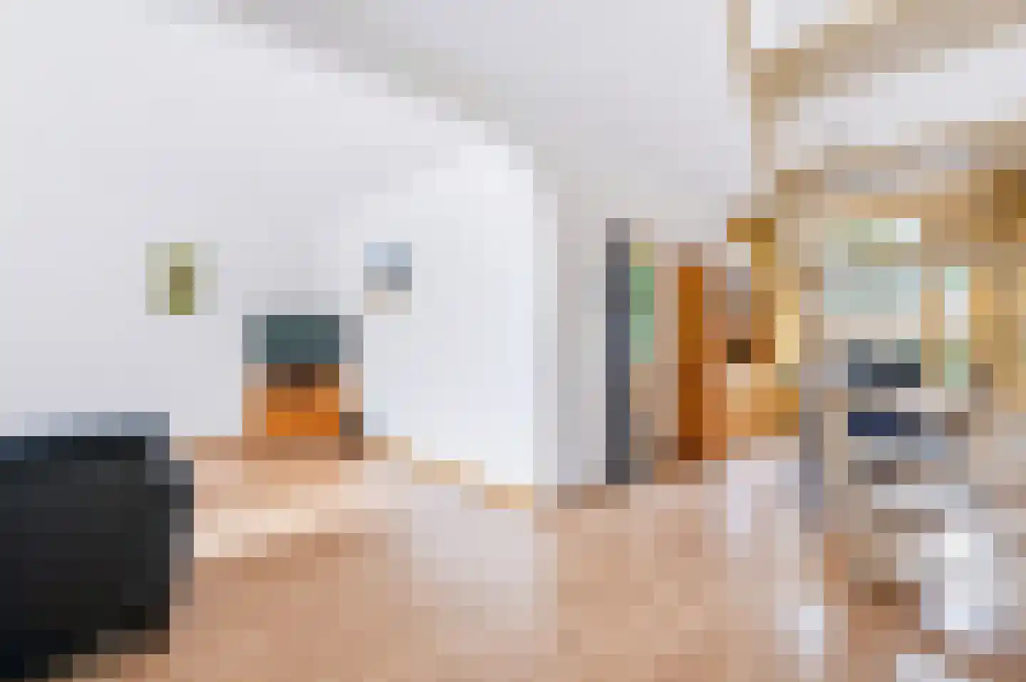 Ratelaar 85 Apeldoorn thumbnail 7