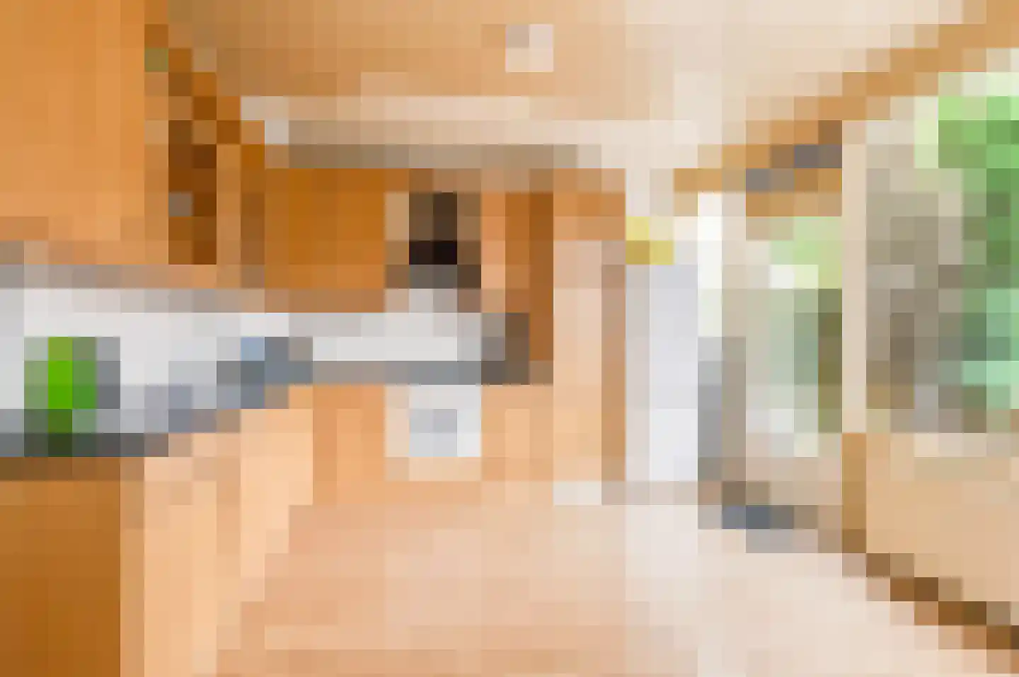Ratelaar 85 Apeldoorn thumbnail 8