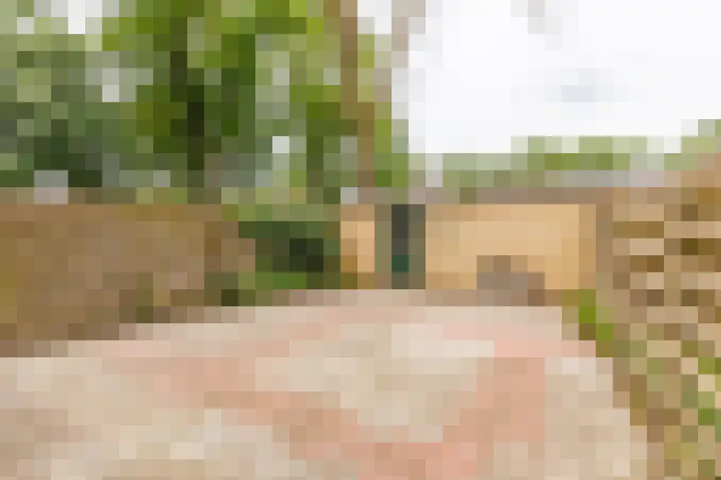 Ratelaar 89 Apeldoorn thumbnail 22