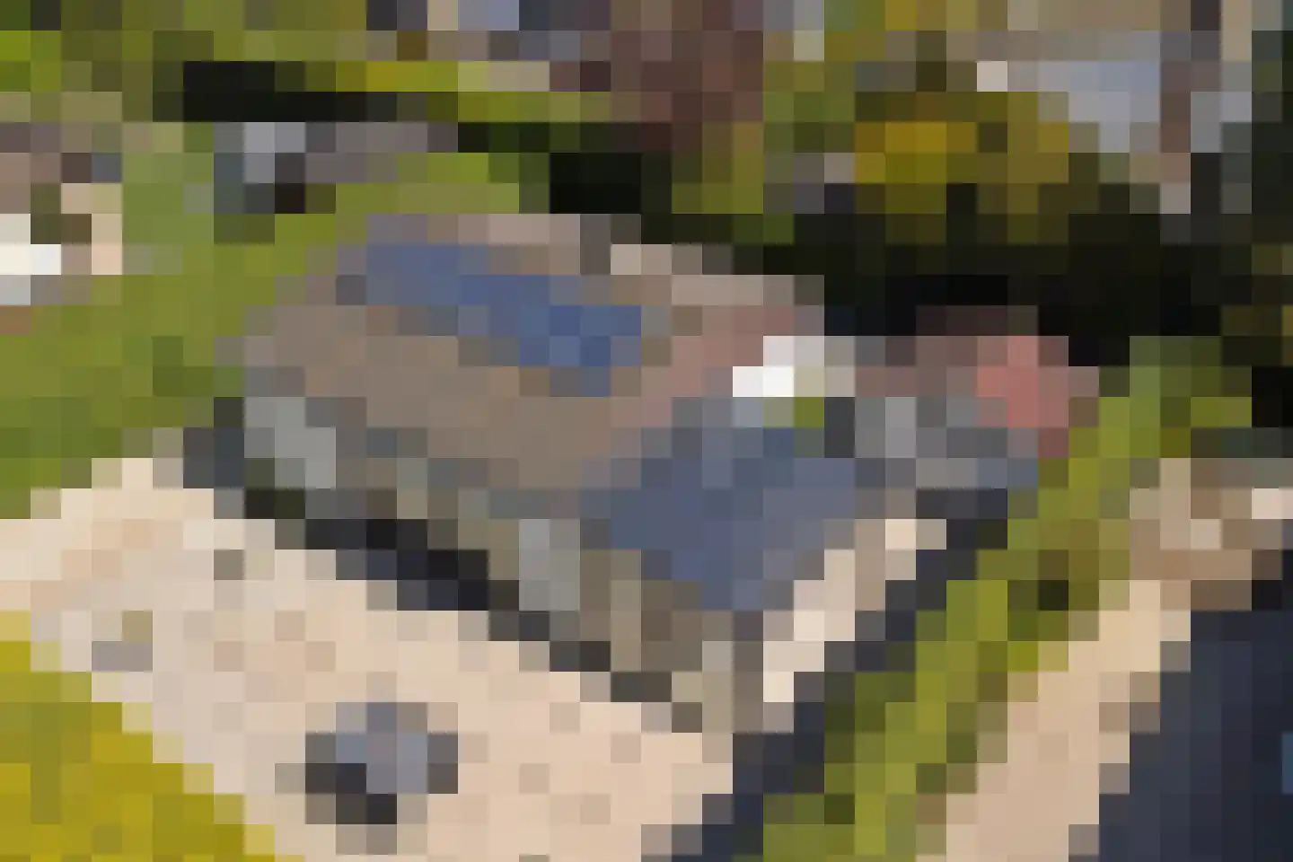 Ratelaarsrand 32 Kortgene thumbnail 27