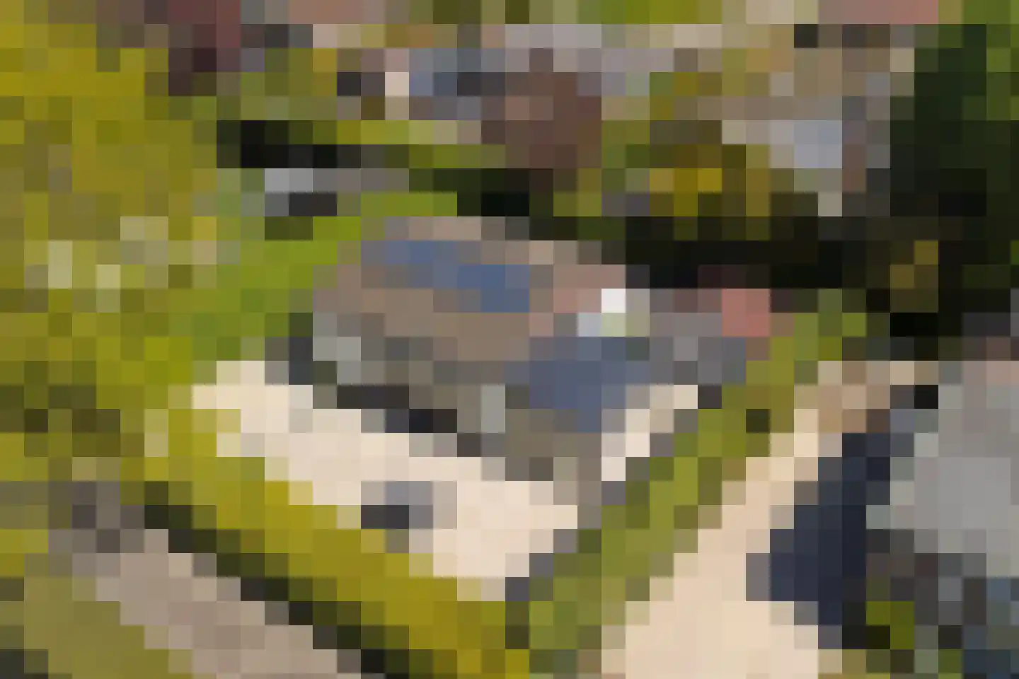 Ratelaarsrand 32 Kortgene thumbnail 28
