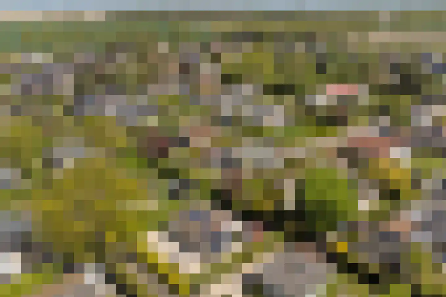 Ratelaarsrand 32 Kortgene thumbnail 29