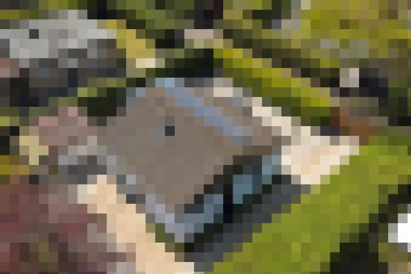 Ratelaarsrand 32 Kortgene thumbnail 32