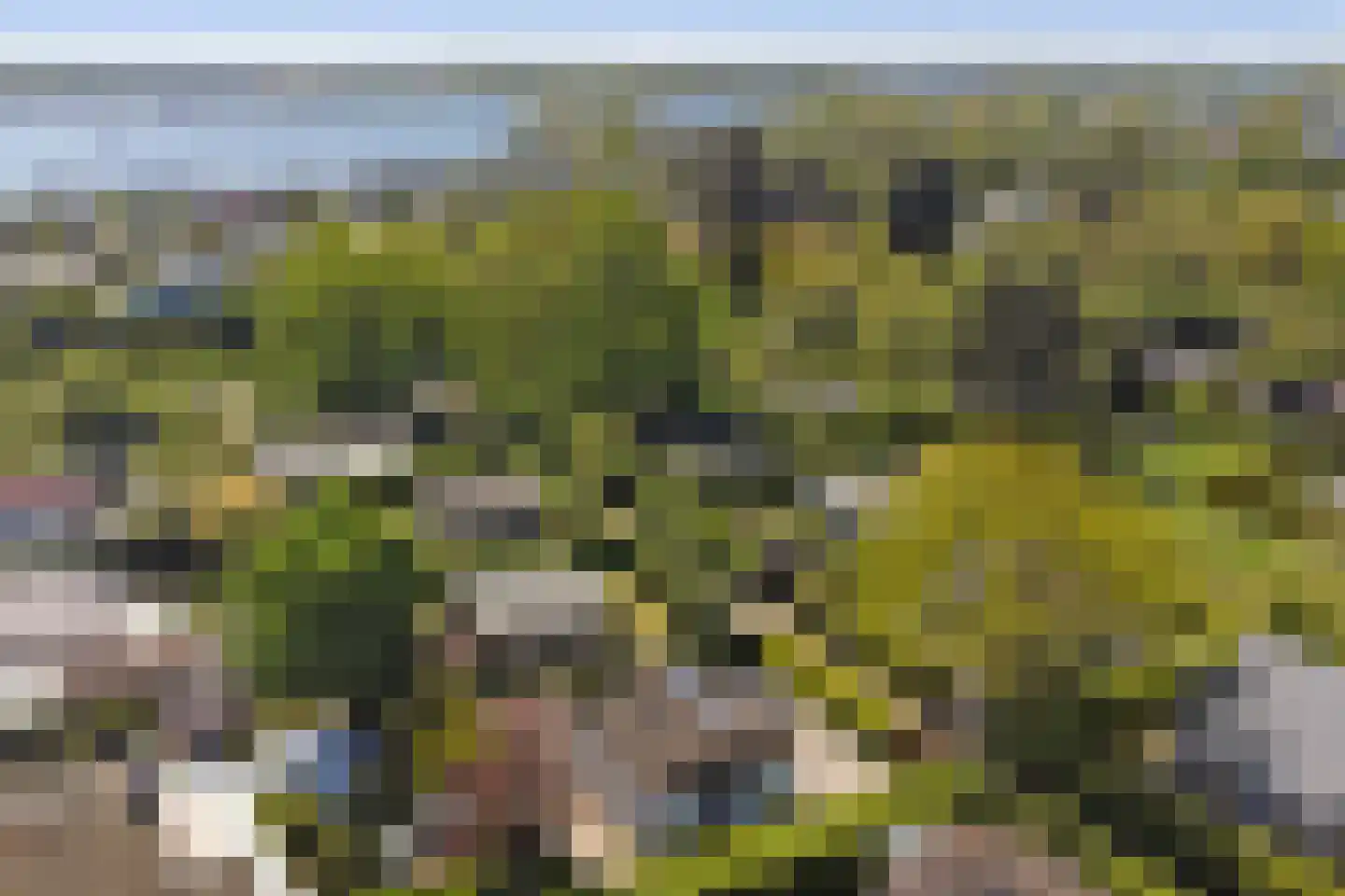 Ratelaarsrand 32 Kortgene thumbnail 33