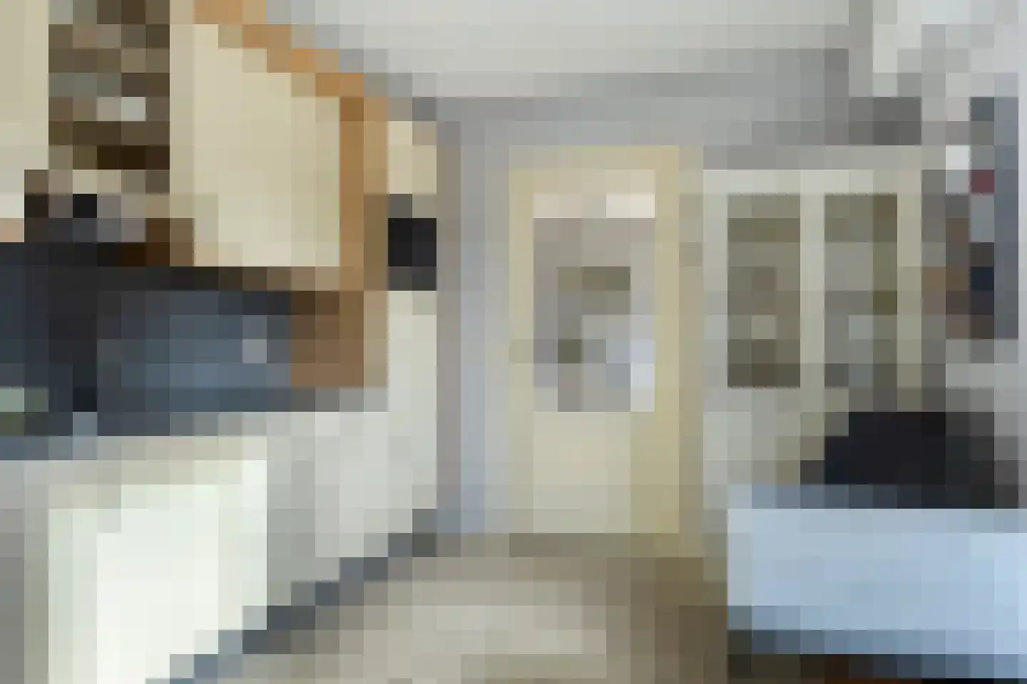 Ratelaarstraat 1 Goes thumbnail 14