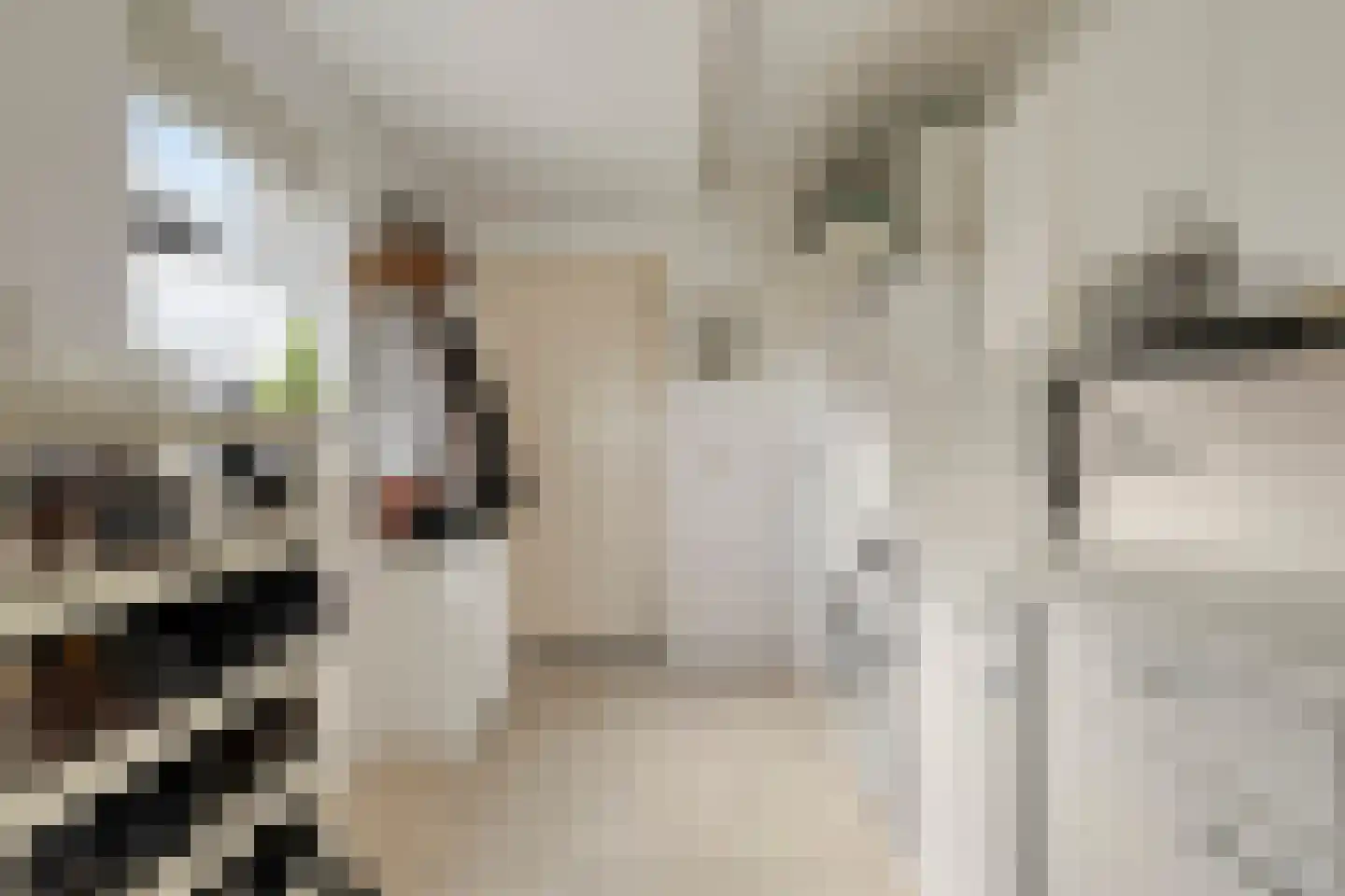 Ratelaarstraat 1 Goes thumbnail 16