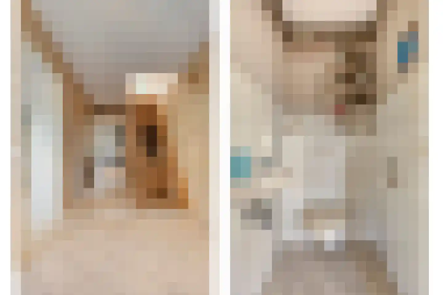 Ratelaarstraat 1 Goes thumbnail 8