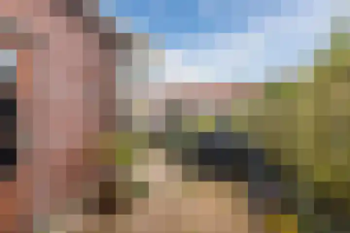 Ratelaarstraat 11 Bergen op Zoom thumbnail 33