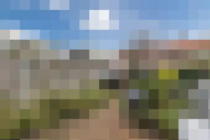 Ratelaarstraat 11 Bergen op Zoom thumbnail 34