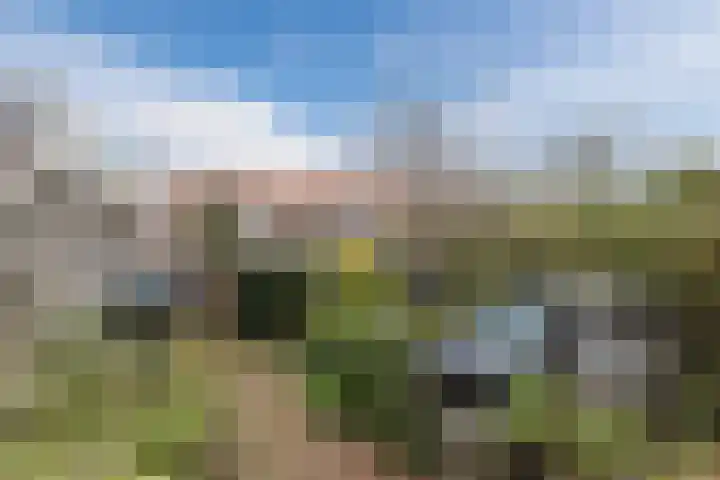 Ratelaarstraat 11 Bergen op Zoom thumbnail 35