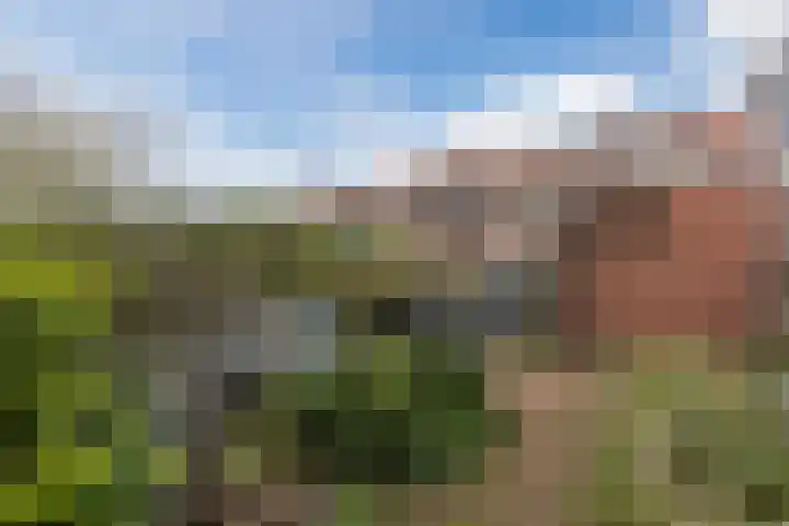 Ratelaarstraat 11 Bergen op Zoom thumbnail 36