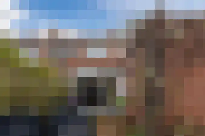 Ratelaarstraat 11 Bergen op Zoom thumbnail 37