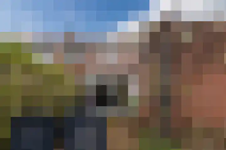 Ratelaarstraat 11 Bergen op Zoom thumbnail 38