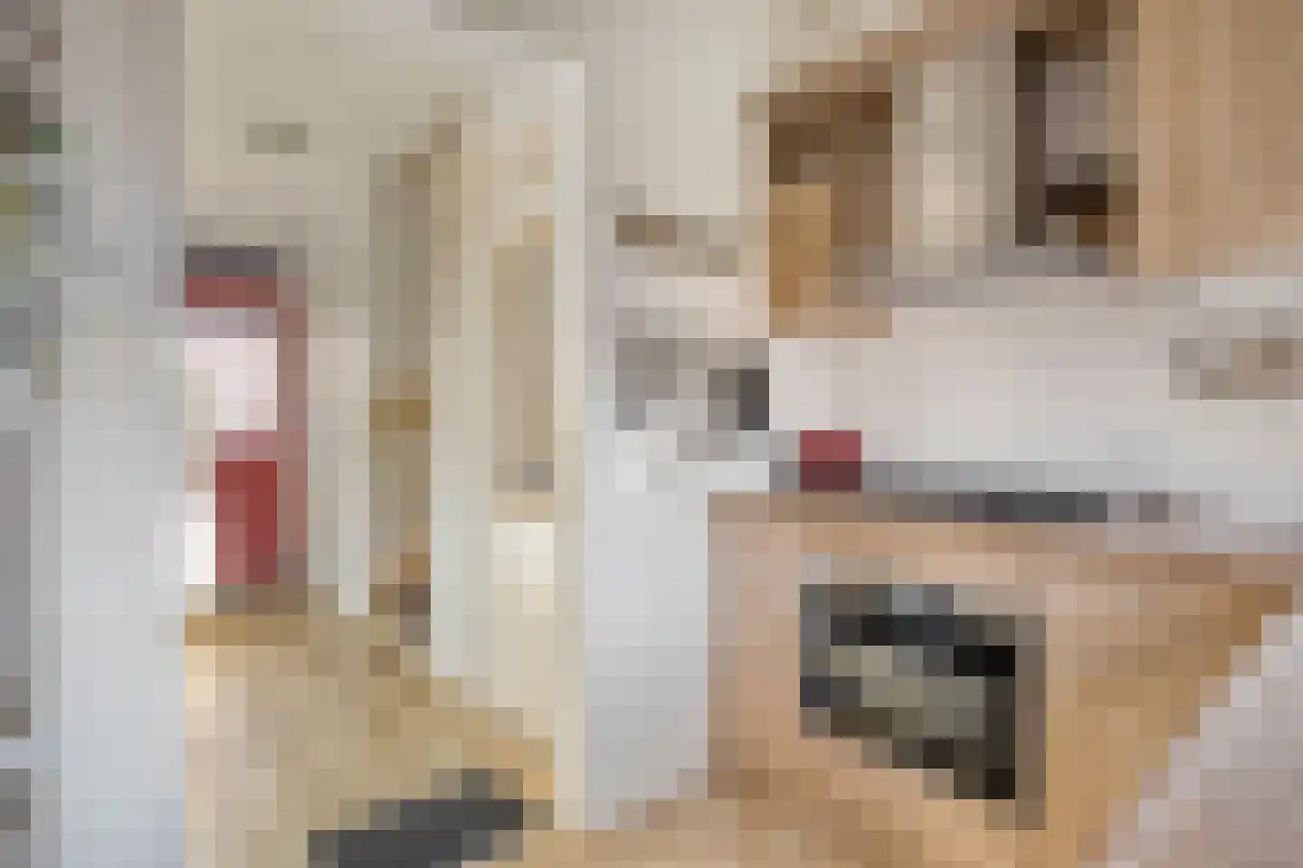 Ratelaarstraat 15 Arnhem thumbnail 14