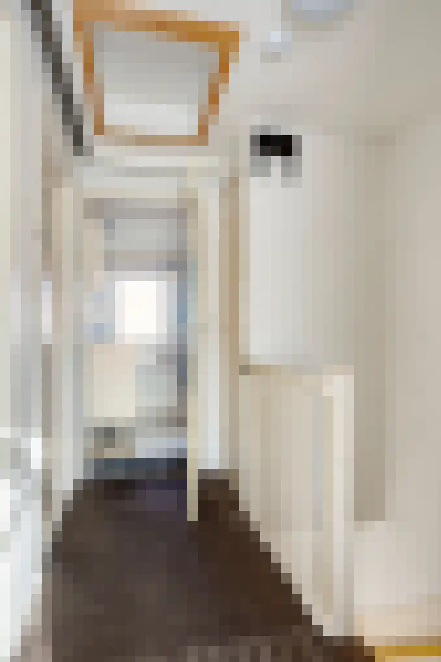 Ratelaarstraat 15 Arnhem thumbnail 16