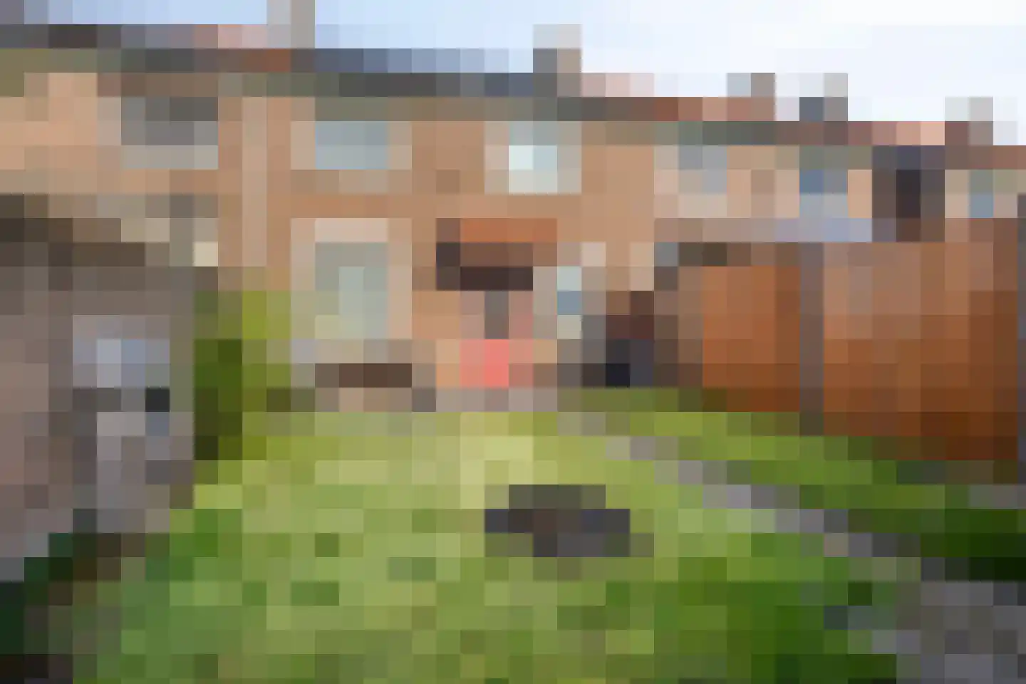 Ratelaarstraat 15 Arnhem thumbnail 25