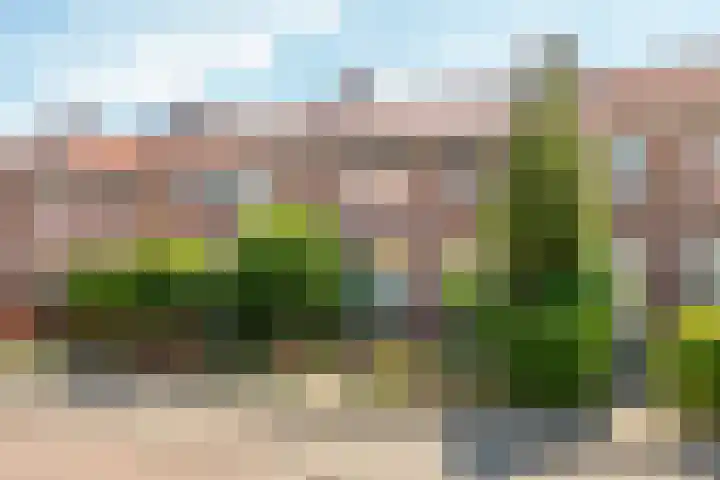 Ratelaarstraat 17 Arnhem thumbnail 38