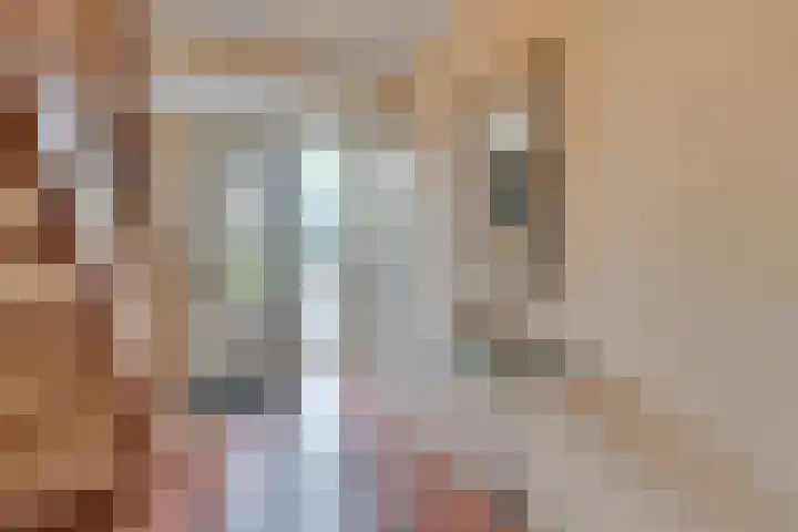 Ratelaarstraat 2 Goes thumbnail 10