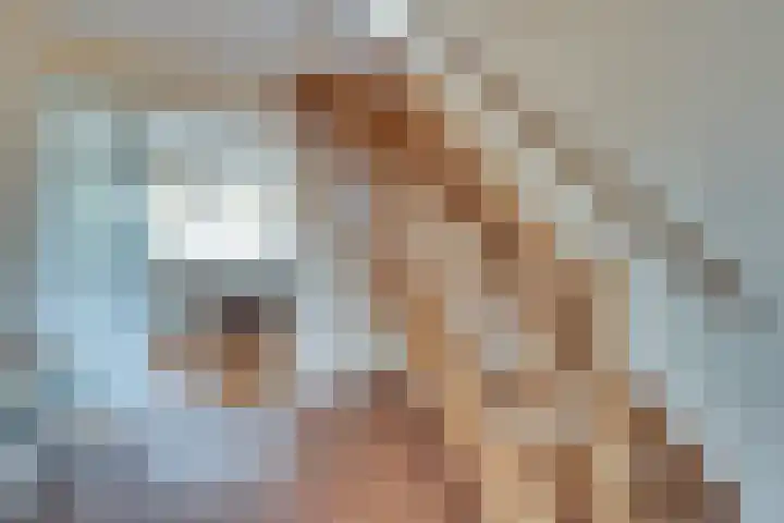 Ratelaarstraat 2 Goes thumbnail 12