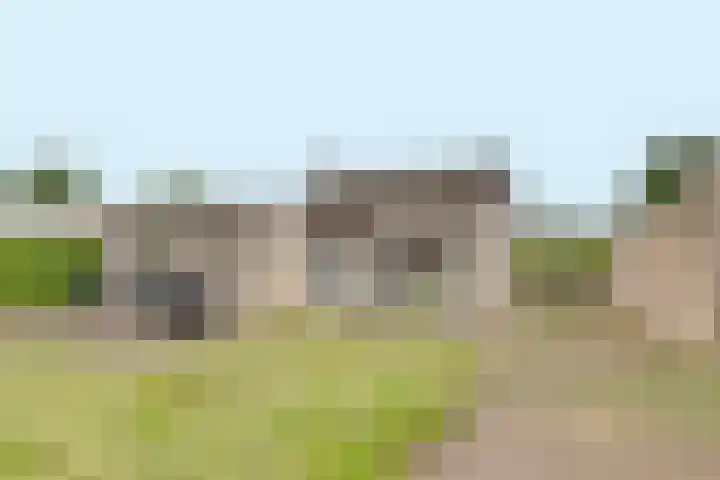 Ratelaarstraat 2 Goes thumbnail 38