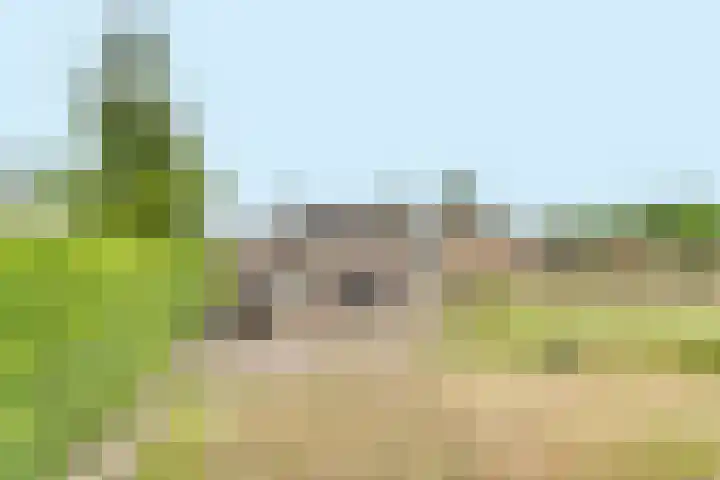 Ratelaarstraat 2 Goes thumbnail 39