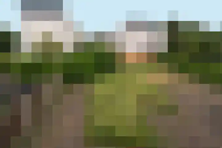 Ratelaarstraat 2 Goes thumbnail 40