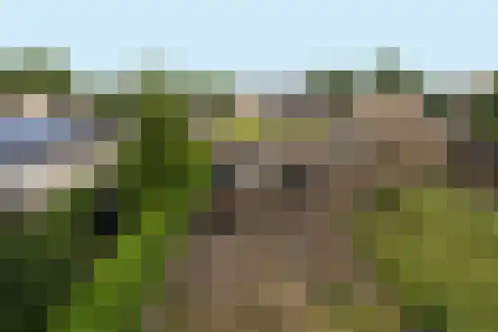 Ratelaarstraat 2 Goes thumbnail 41