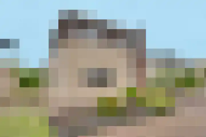 Ratelaarstraat 2 Goes thumbnail 7