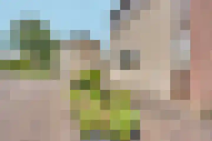 Ratelaarstraat 2 Goes thumbnail 8