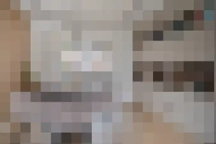 Ratelaarstraat 20 Bergen op Zoom thumbnail 8