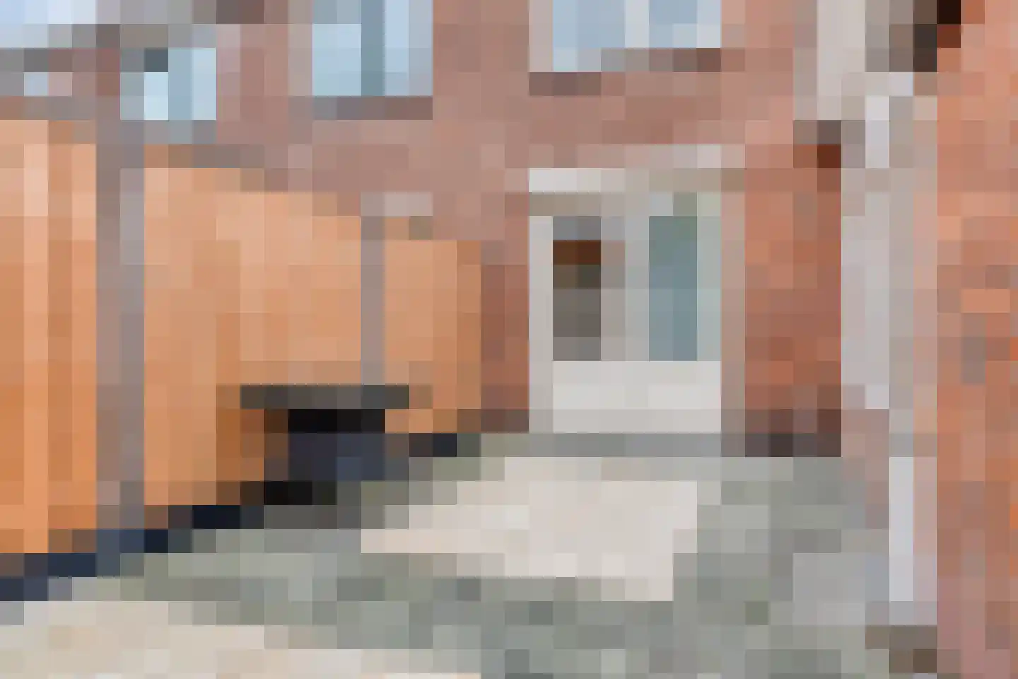 Ratelaarstraat 27 Bergen op Zoom thumbnail 29
