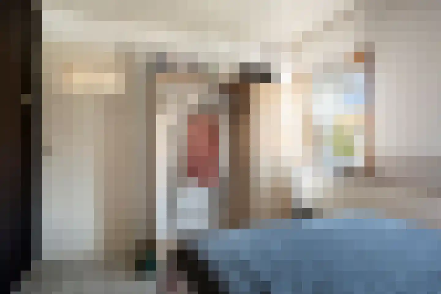 Ratelaarstraat 28 Bergen op Zoom thumbnail 27